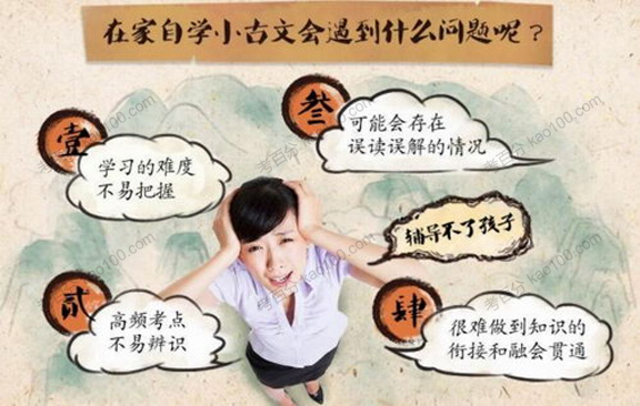 大语文爱上小古文（3~9年级适用）