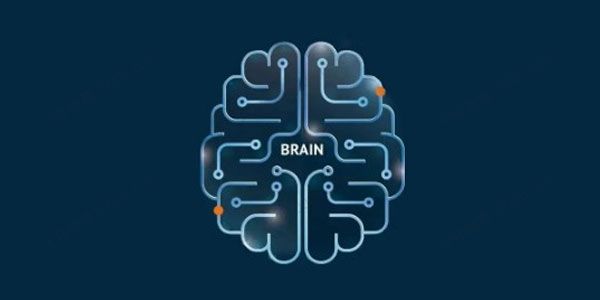 吸星大法：学习思维模型第4期