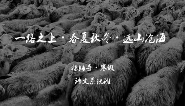 代薇 高三语文寒假班