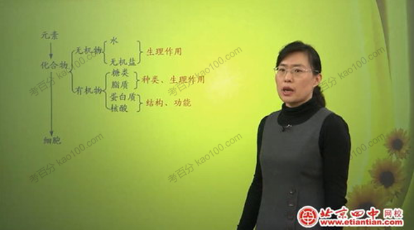 北京四中网校-毕诗秀 高三生物同步辅导