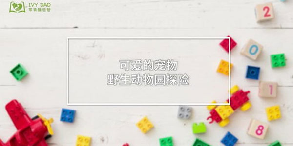 常青藤-益智玩具乐高积木创意搭建游戏