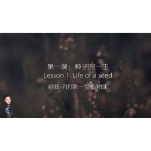 芝麻学社《给孩子的第一堂植物课》新升力植物课