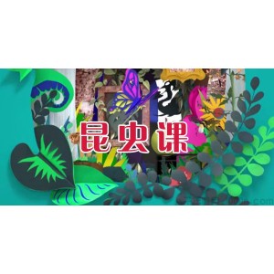 芝麻学社《昆虫课》儿童趣味动物知识课