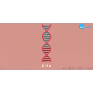 芝麻学社《基因的秘密》儿童生物常识课