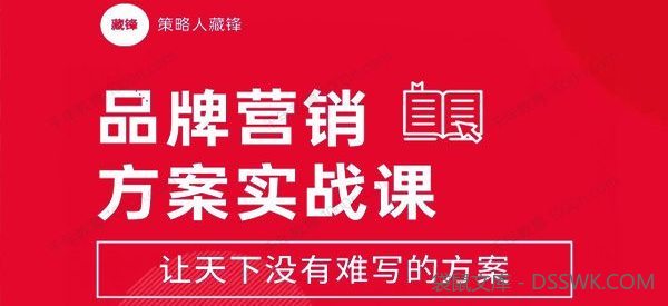 藏锋《品牌营销方案实战课》8小时学会12大类型方案