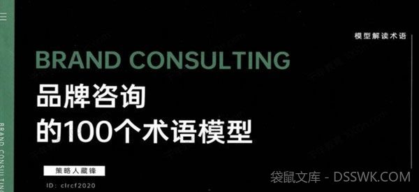 品牌咨询的100个术语模式