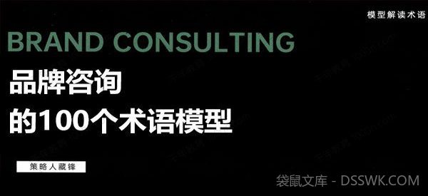 藏锋《品牌咨询的100个术语模式》
