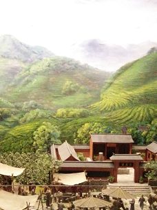 藏茶