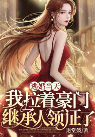 逃婚当天，我拉着豪门继承人领证