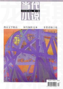 当代小说2009年全部期数