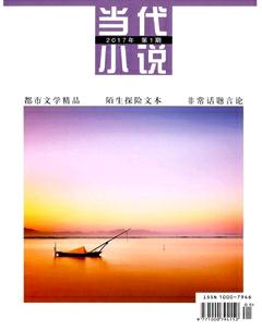 当代小说2017年全部期数