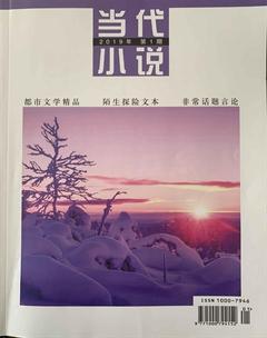当代小说2019年全部期数