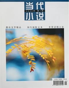 当代小说2020年全部期数