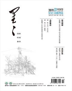 星星·诗歌理论2019年全部期数