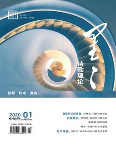 星星·诗歌理论2020年全部期数