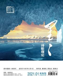 星星·诗歌理论2021年全部期数