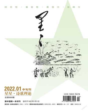 星星·诗歌理论2022年全部期数