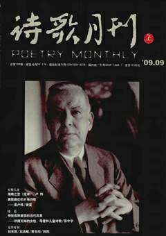 诗歌月刊2009年全部期数