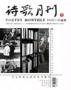 诗歌月刊2015年全部期数