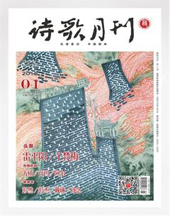 诗歌月刊2018年全部期数