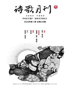 诗歌月刊2020年全部期数