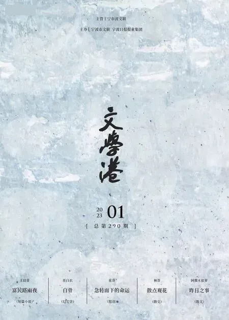 文学港2023年全部期数