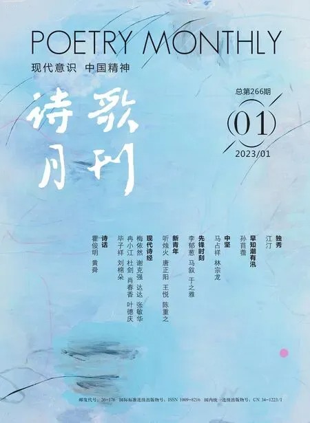 诗歌月刊2023年全部期数