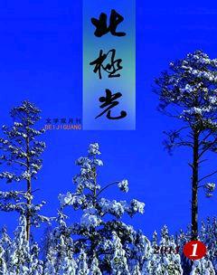 北极光2014年全部期数