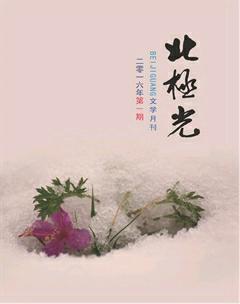 北极光2016年全部期数