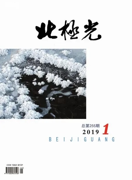 北极光2019年全部期数