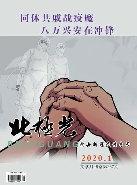 北极光2020年全部期数
