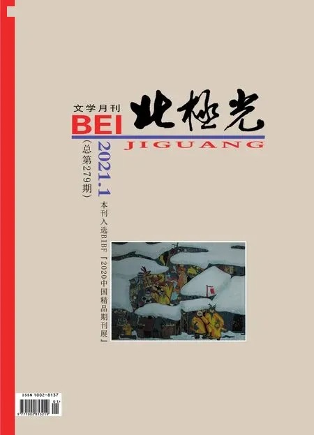 北极光2021年全部期数