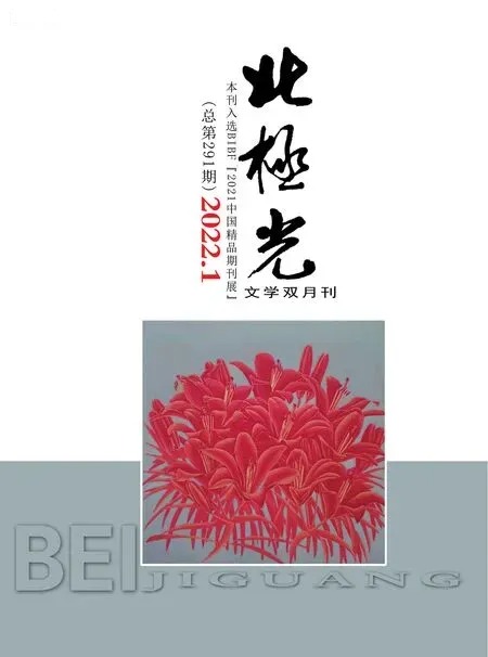 北极光2022年全部期数