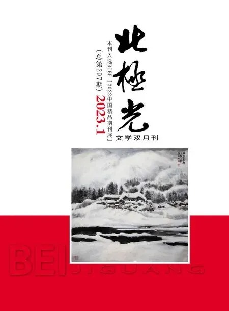 北极光2023年全部期数