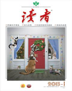 读者2013年全部期数
