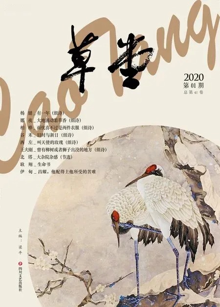 草堂2020年全部期数