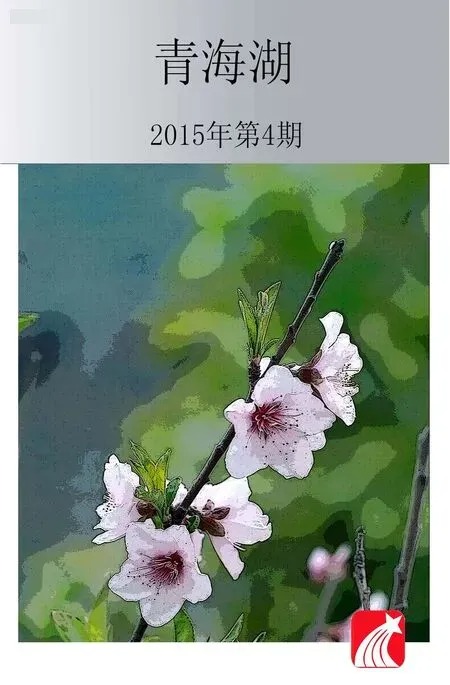 青海湖2015年全部期数