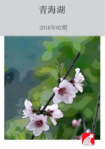 青海湖2016年全部期数