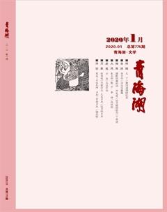 青海湖2020年全部期数