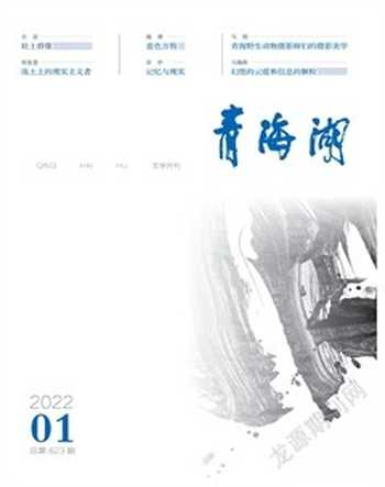 青海湖2022年全部期数
