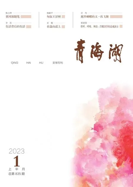 青海湖2023年全部期数
