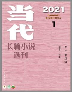 当代·长篇小说选刊2021年全部期数