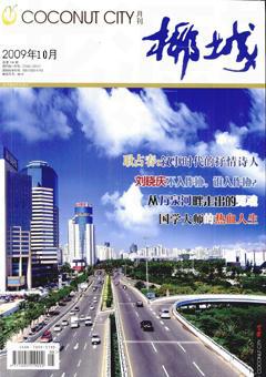 椰城2009年全部期数