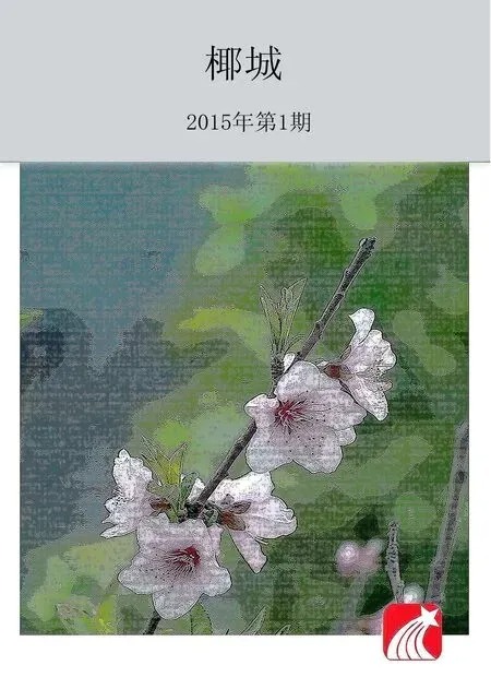 椰城2015年全部期数