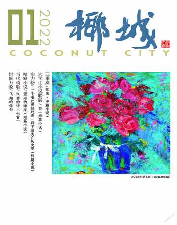 椰城2022年全部期数
