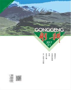 躬耕2017年全部期数