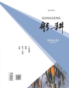 躬耕2019年全部期数