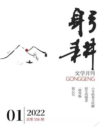 躬耕2022年全部期数