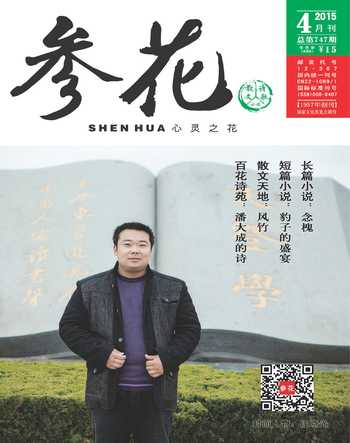 参花（下）2015年全部期数