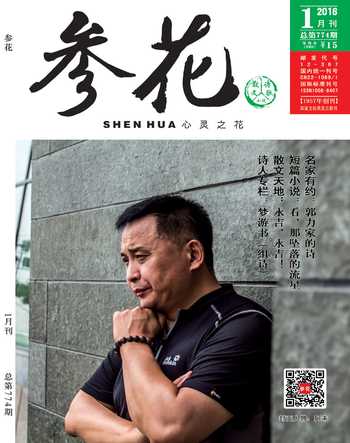 参花（下）2016年全部期数
